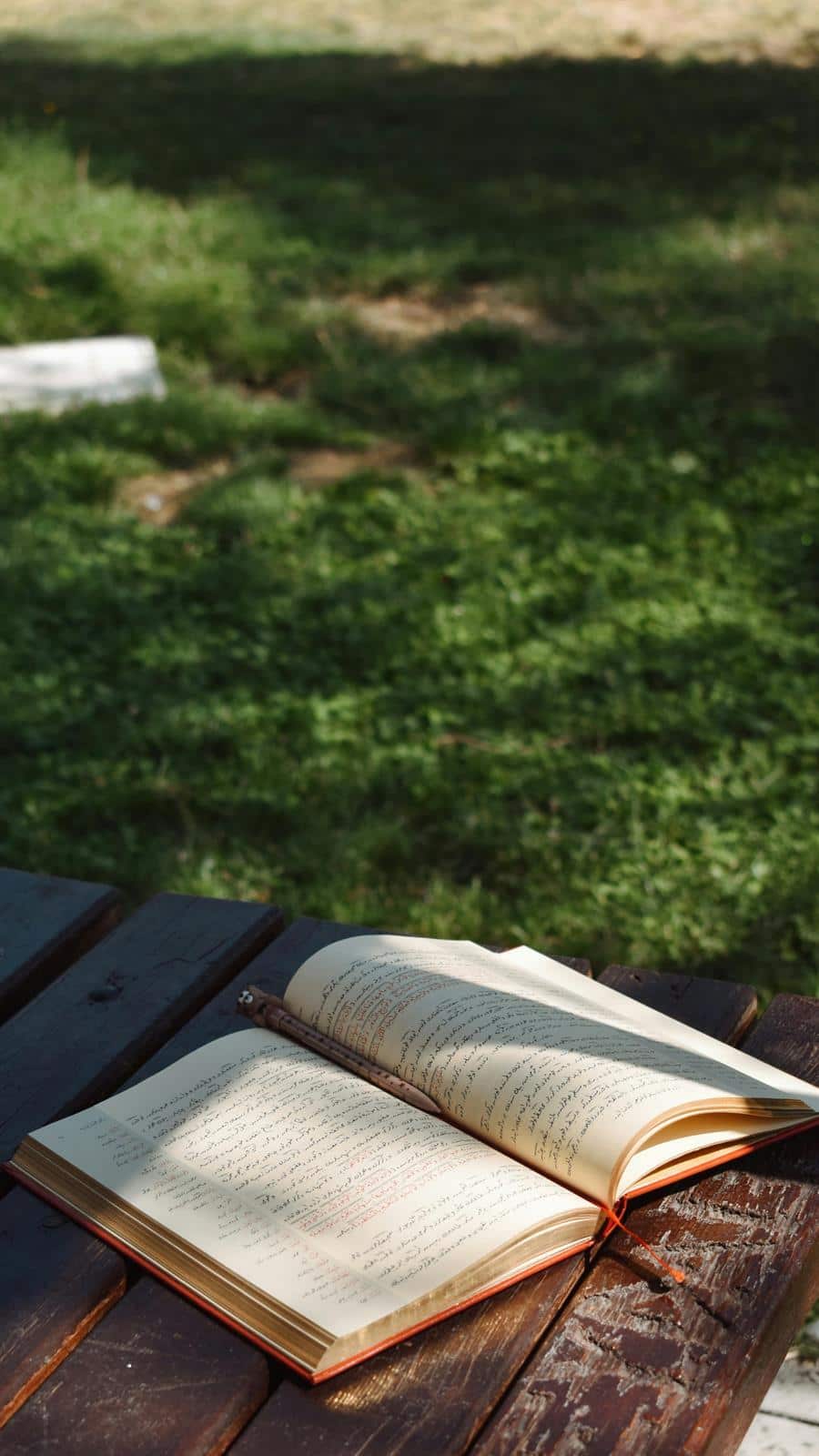 Researcher inspecting crops with a clipboard in the field for surveillance and observation work.