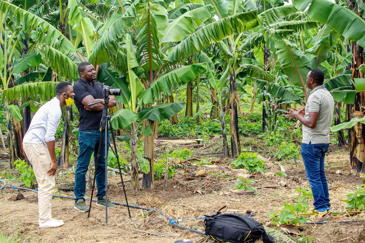 People working with cameras and interviews in an agricultural field, representing field reporting and documentation.