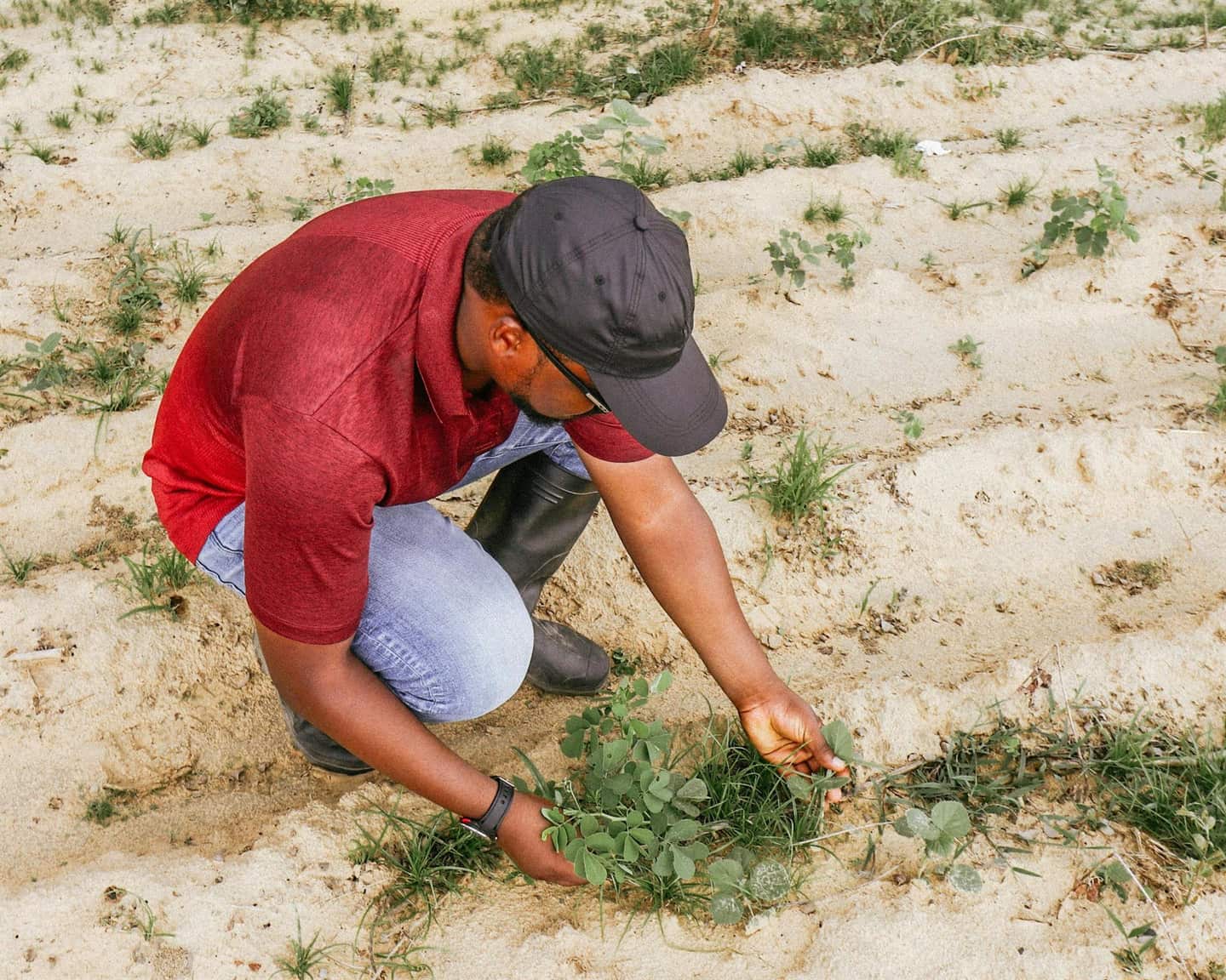Hands-on community field action around a cleared area showing coordinated environmental response work.